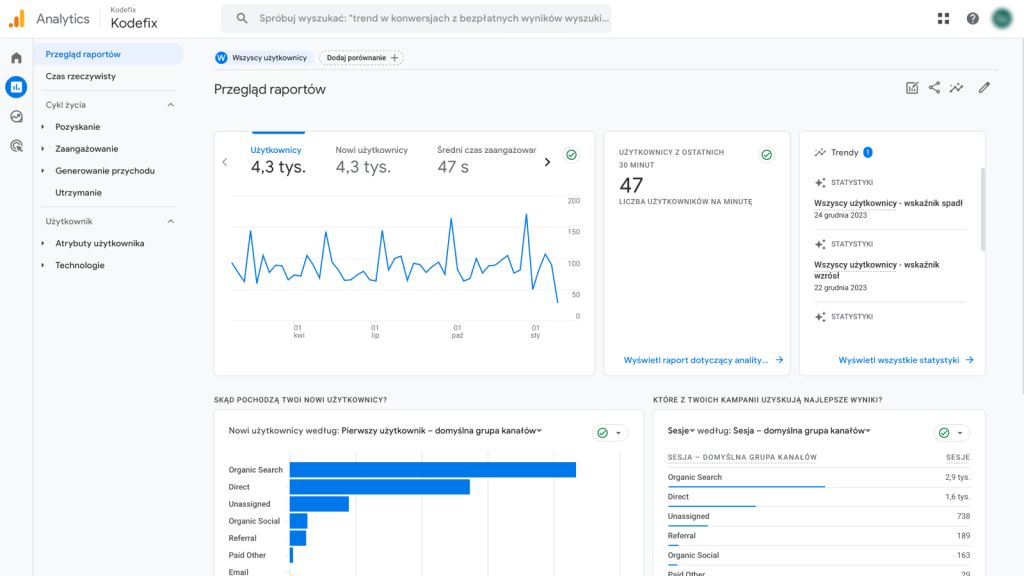 Zrzut ekranu przedstawiający narzędzie Google Analytics